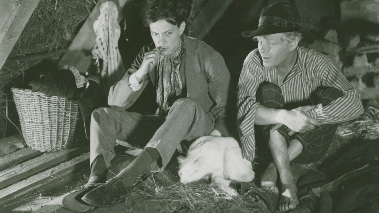 Bombi Bitt and Me backdrop