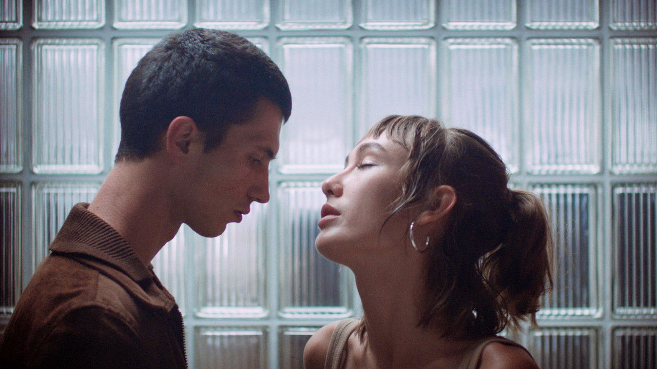 Grey at Night backdrop