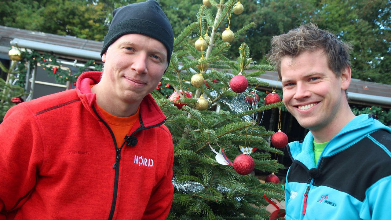 JULTRA: Store nørdernes julekalender backdrop