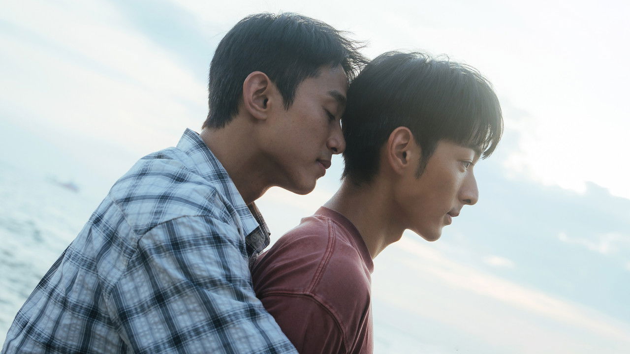 Wishing Upon the Shooting Stars backdrop