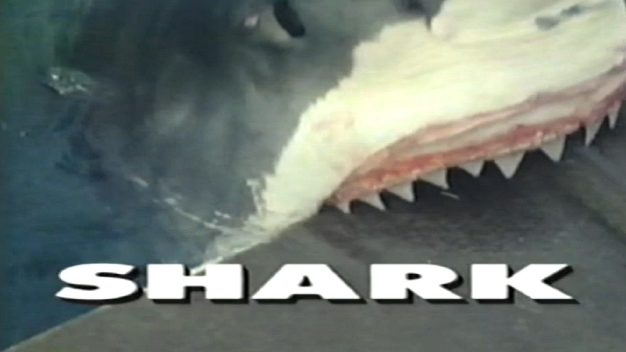 Predators of the Wild: Shark backdrop