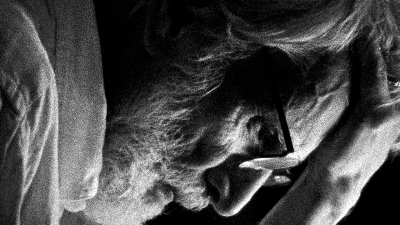 Later in the Clearing backdrop