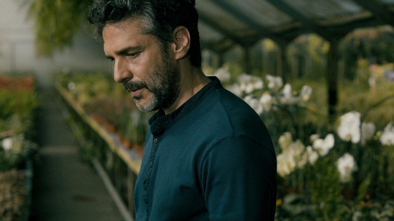 The Silence of the Sky backdrop