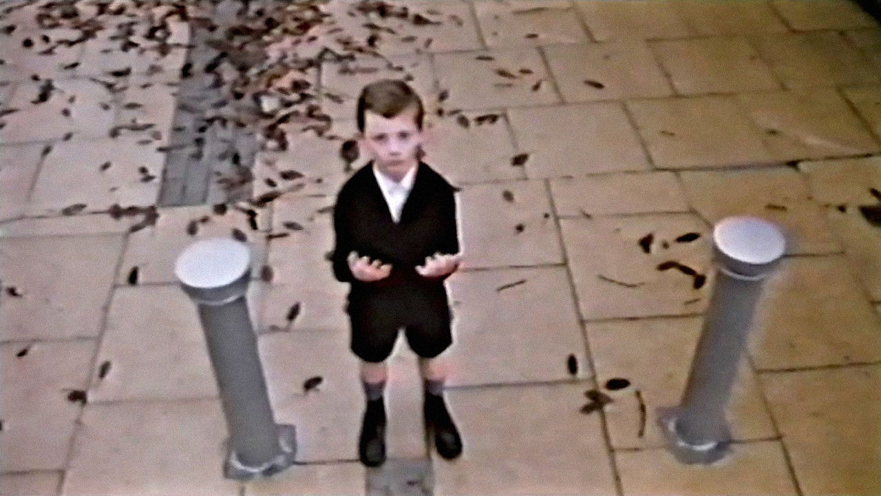 Visiting Mr Beak backdrop