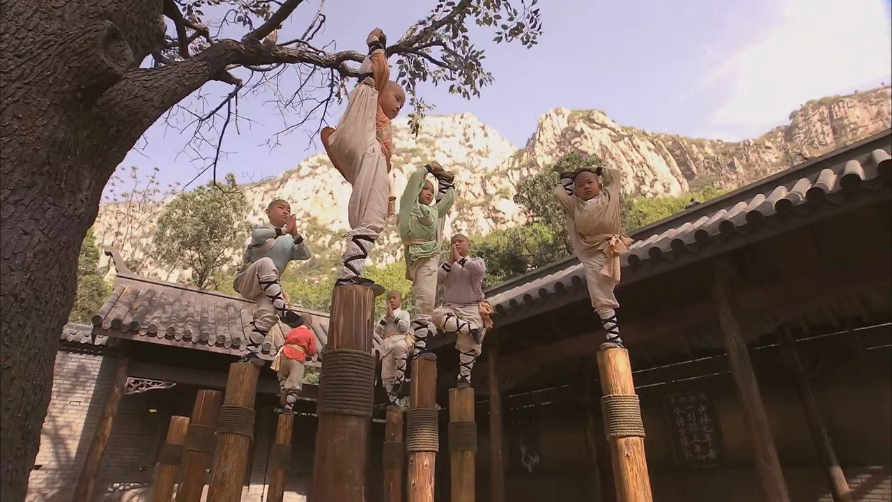 Seven Arhat backdrop