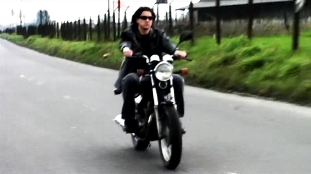 Pantera Vive backdrop