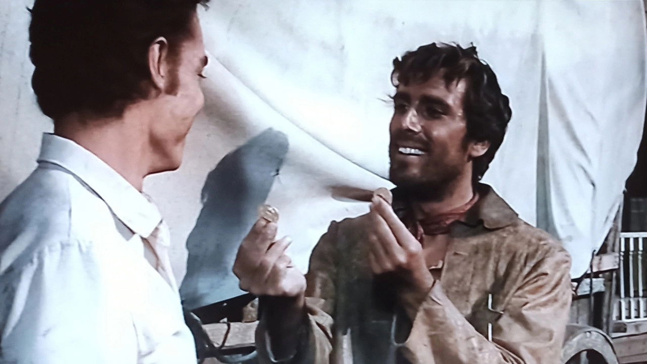 Halleluja for Django backdrop