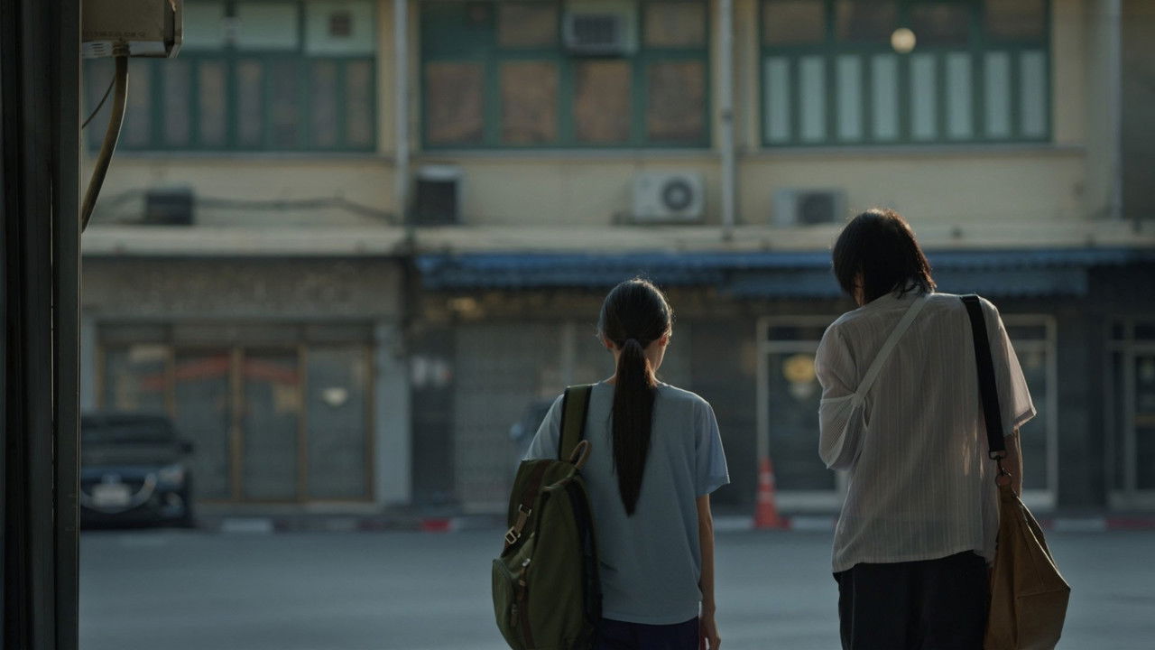 The Summer We Met backdrop