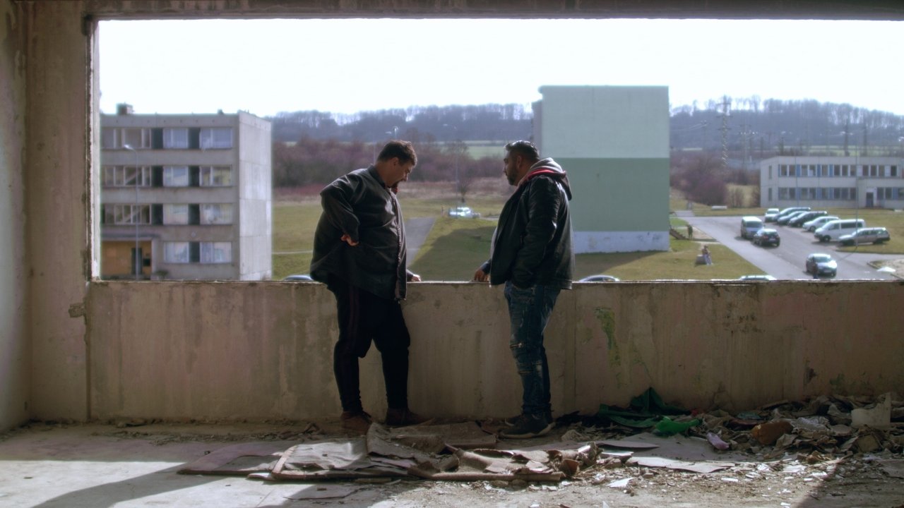 Bastardi: Reparát backdrop