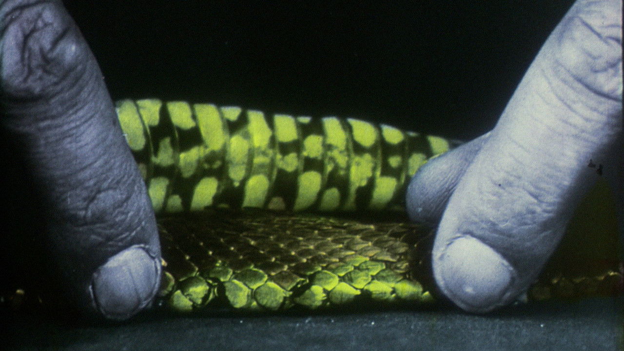 en el río manso backdrop