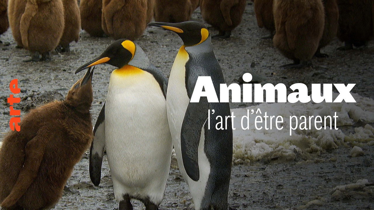 Wilde Eltern backdrop