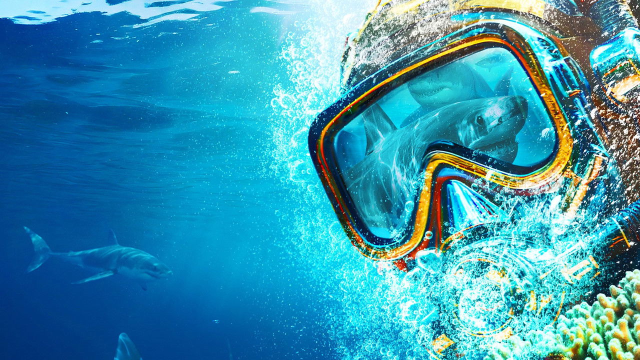 Sydney Harbor Shark Invasion backdrop