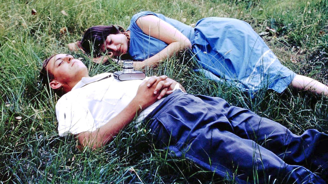 The Good Terrorist backdrop