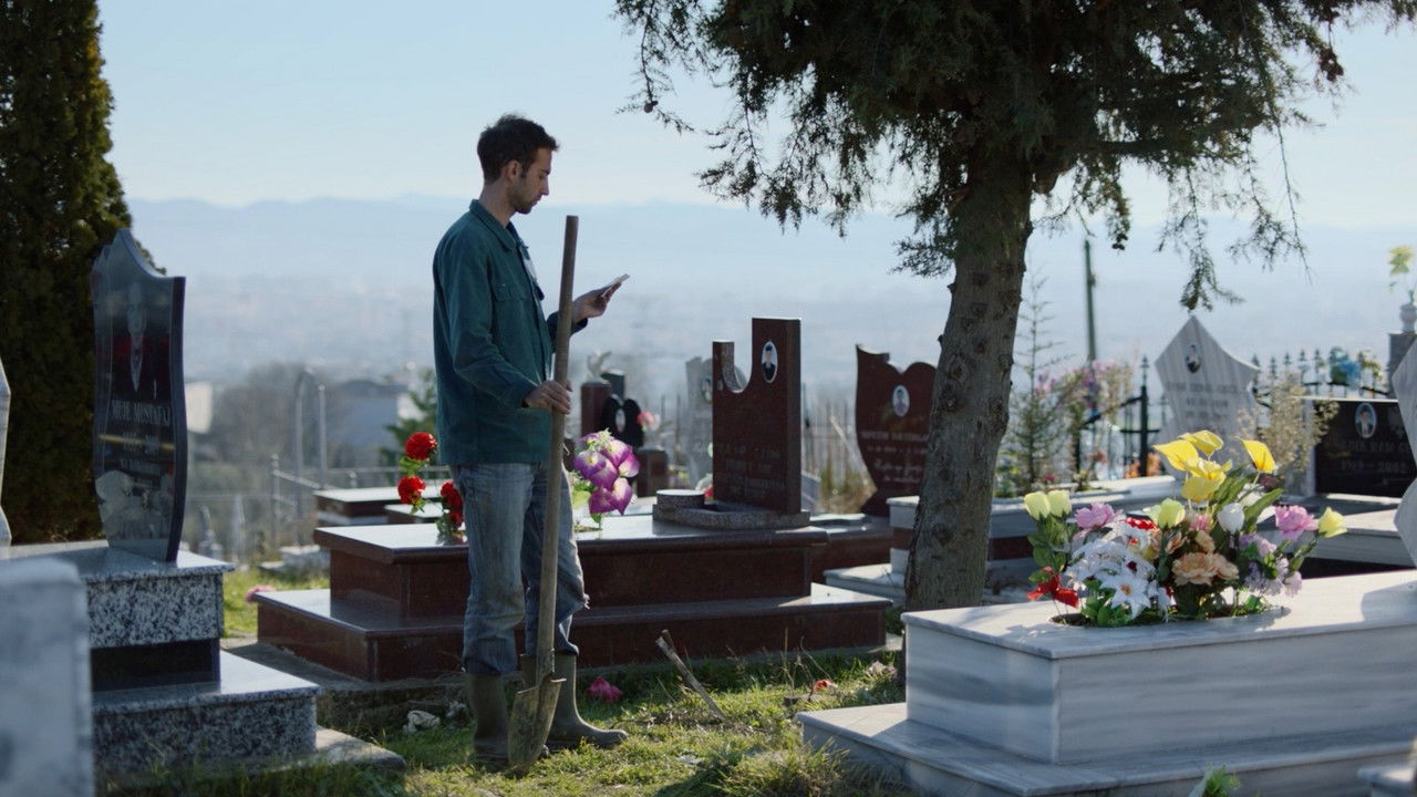 Discofuneral backdrop