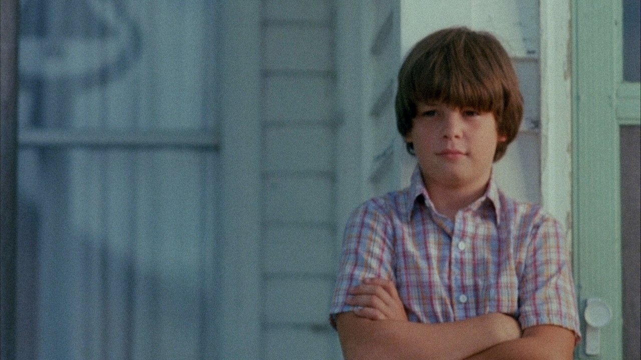 The Stone Boy backdrop