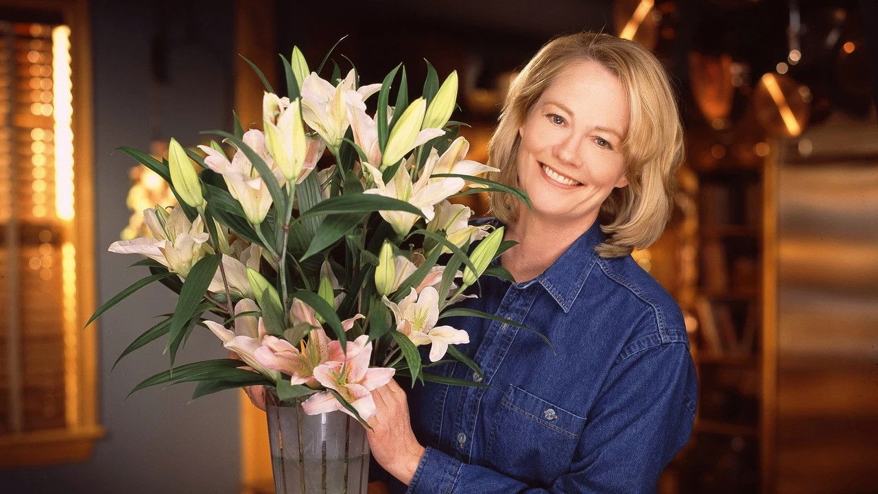 Martha, Inc.: The Story of Martha Stewart backdrop