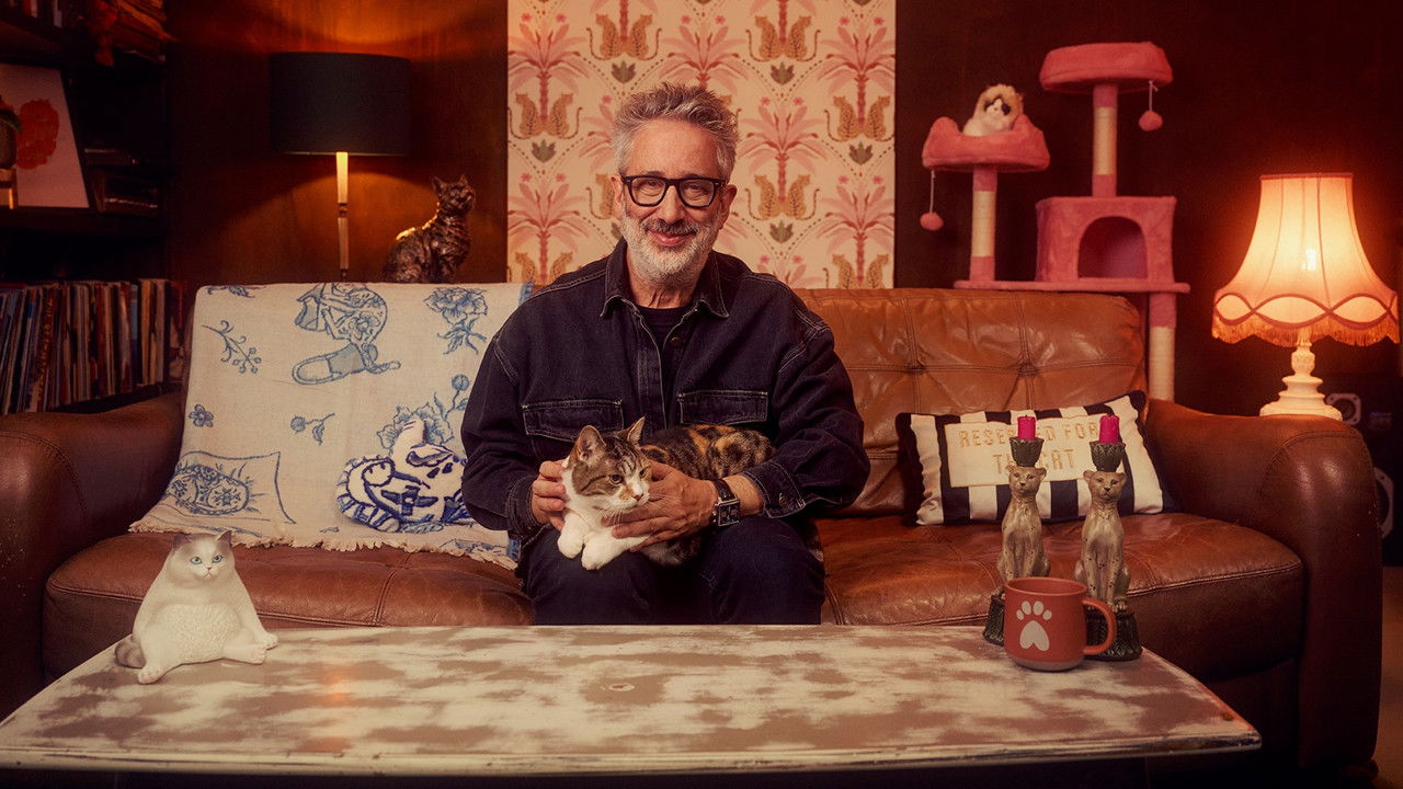 David Baddiel: Cat Man backdrop