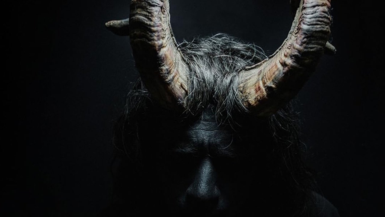 MIRTILLO - numerus IX backdrop