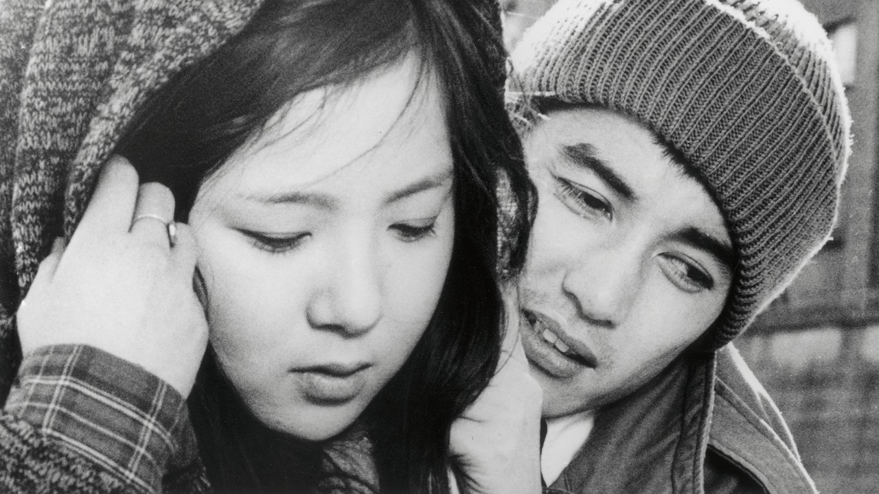 Oh Seagull, Have You Seen the Sparkling Ocean? An Encounter backdrop