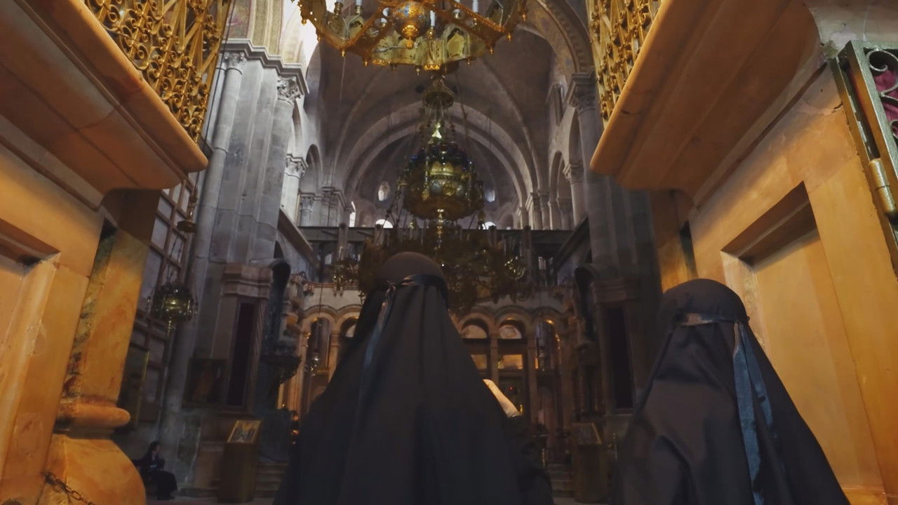 大宝荐系列 backdrop