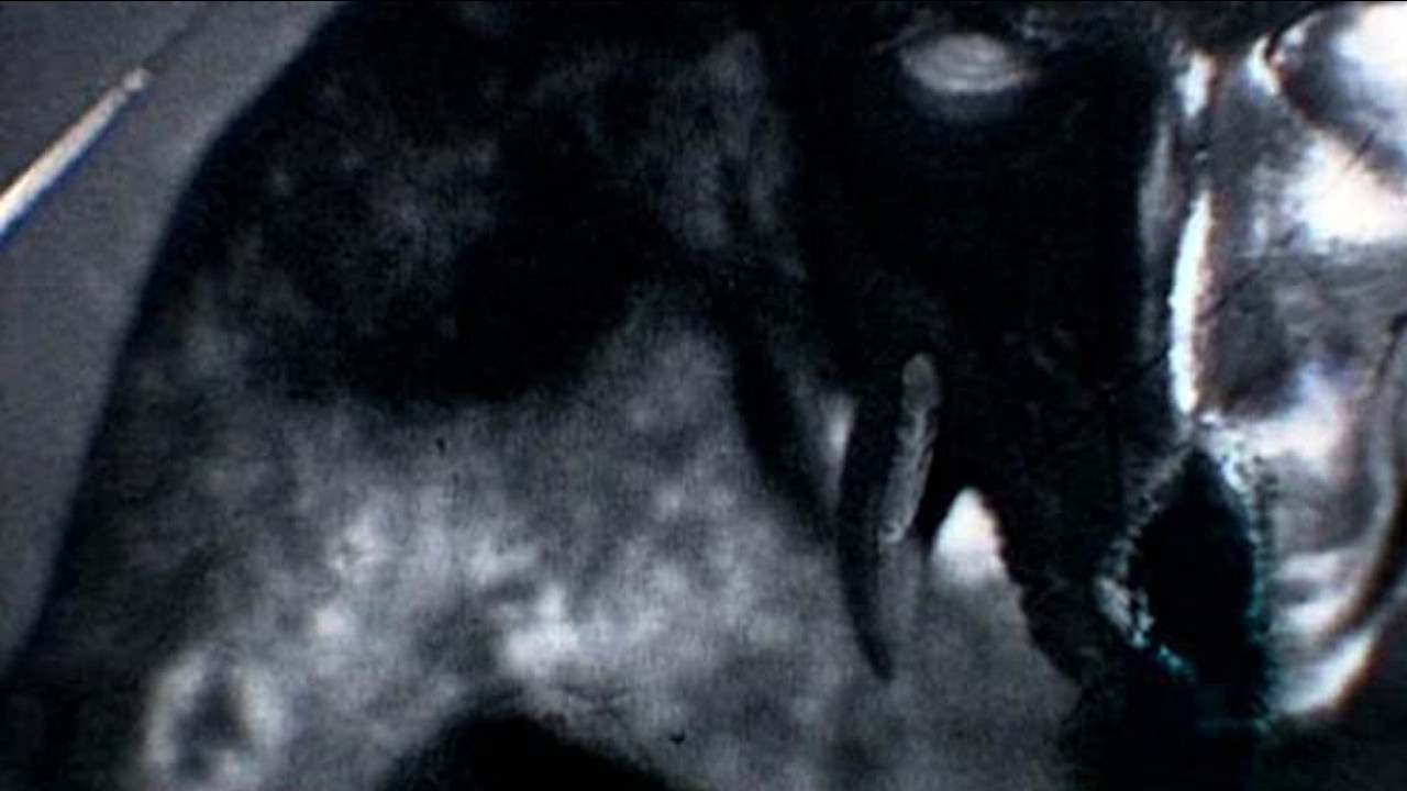 Kanashibara backdrop