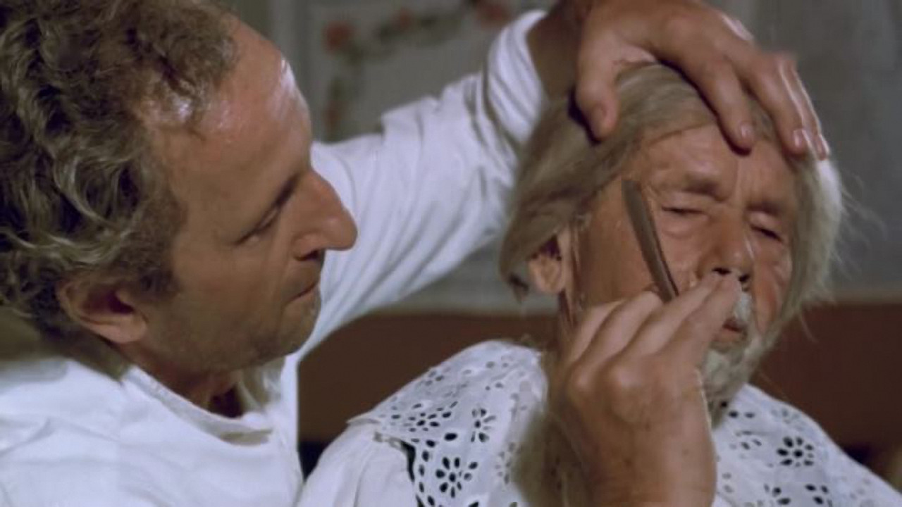 Sprawa się rypła backdrop