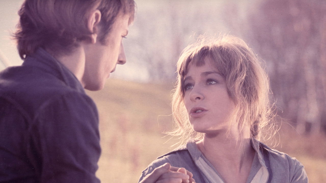 The True Nature of Bernadette backdrop