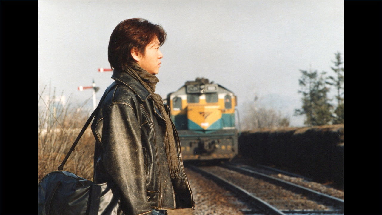 Jungle Story backdrop