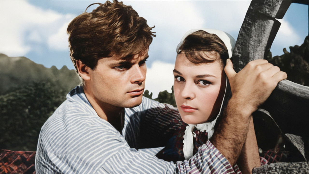 Hepimiz Kardeşiz backdrop