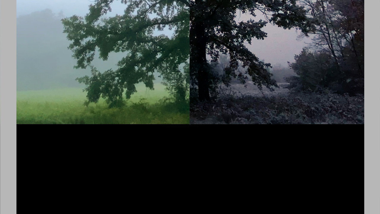 Past Future backdrop