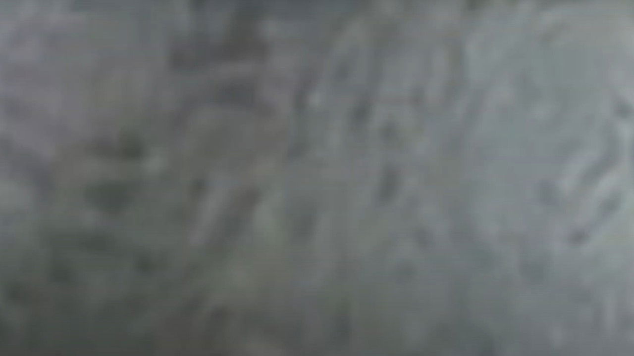 Brower's Blog backdrop