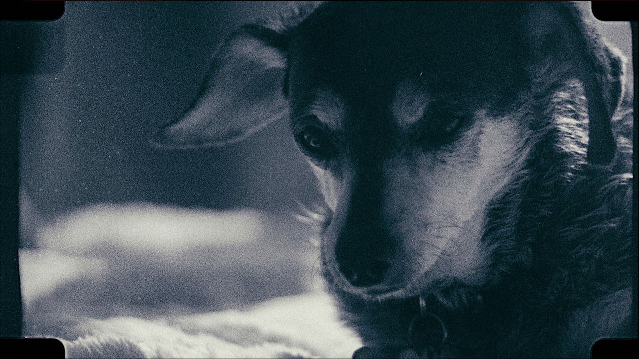 Mom's House backdrop