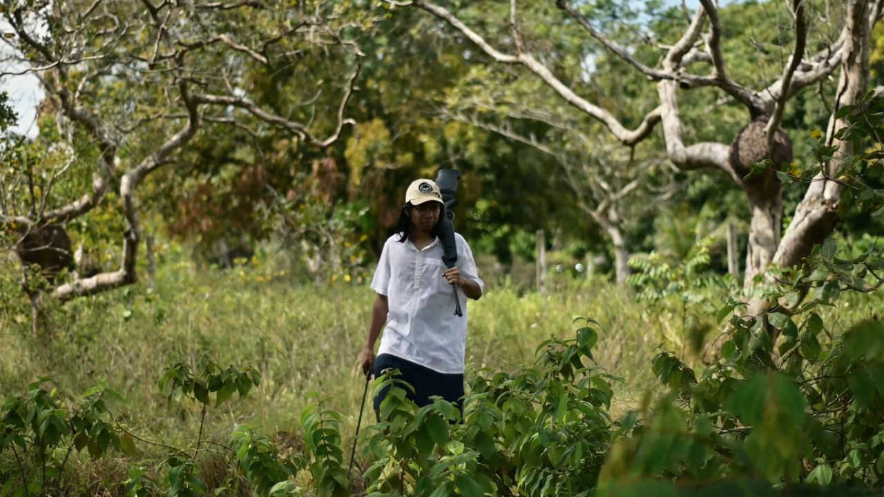 Ticar Bodó backdrop