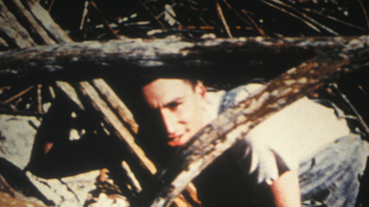 Scotch Tape backdrop