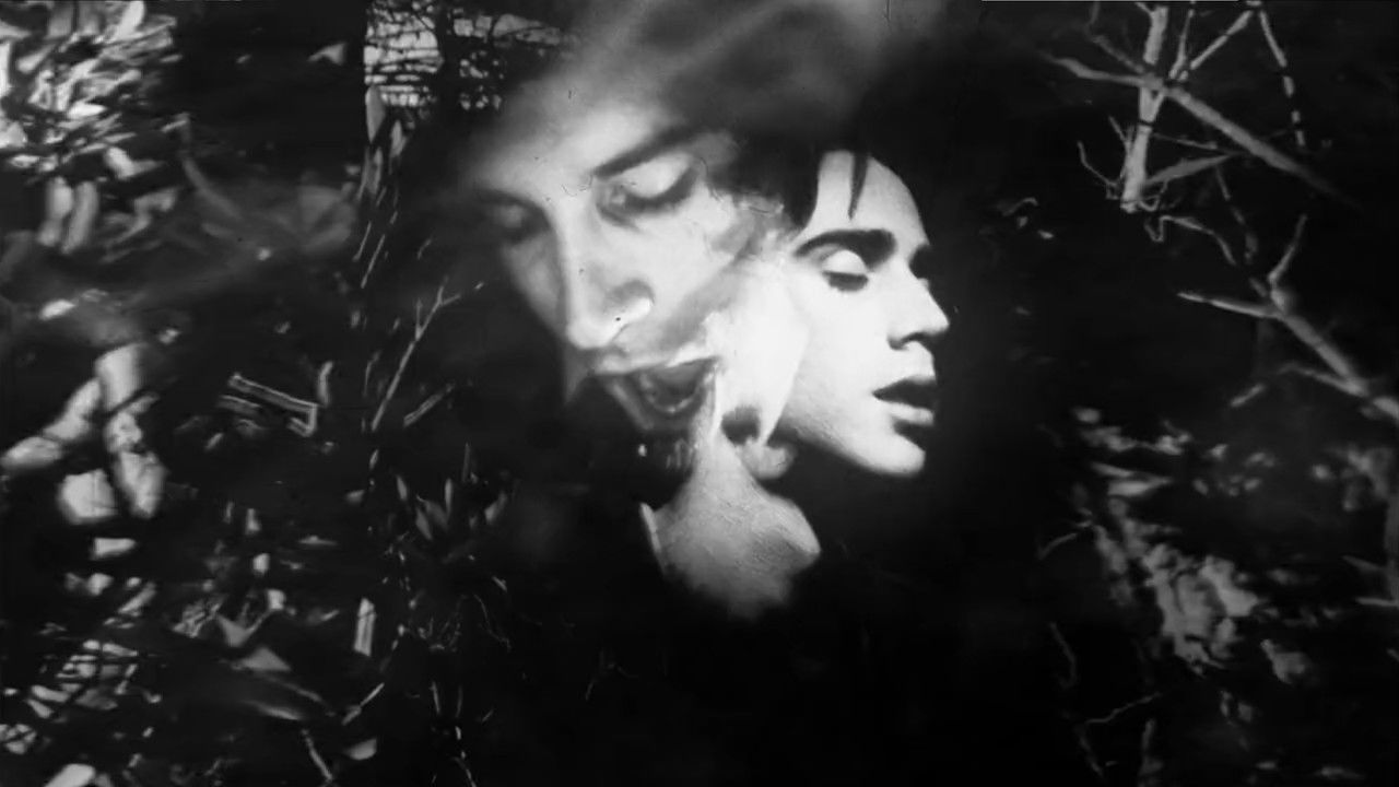 The Exquisite Corpus backdrop