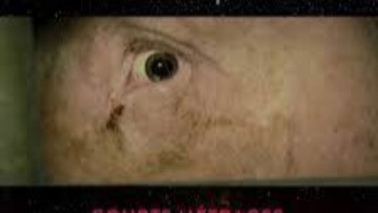 Le Chant des bêtes backdrop