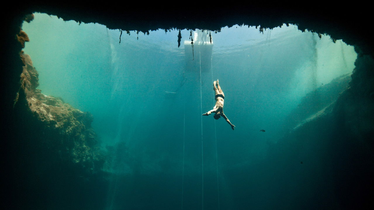 Dolphin Man backdrop