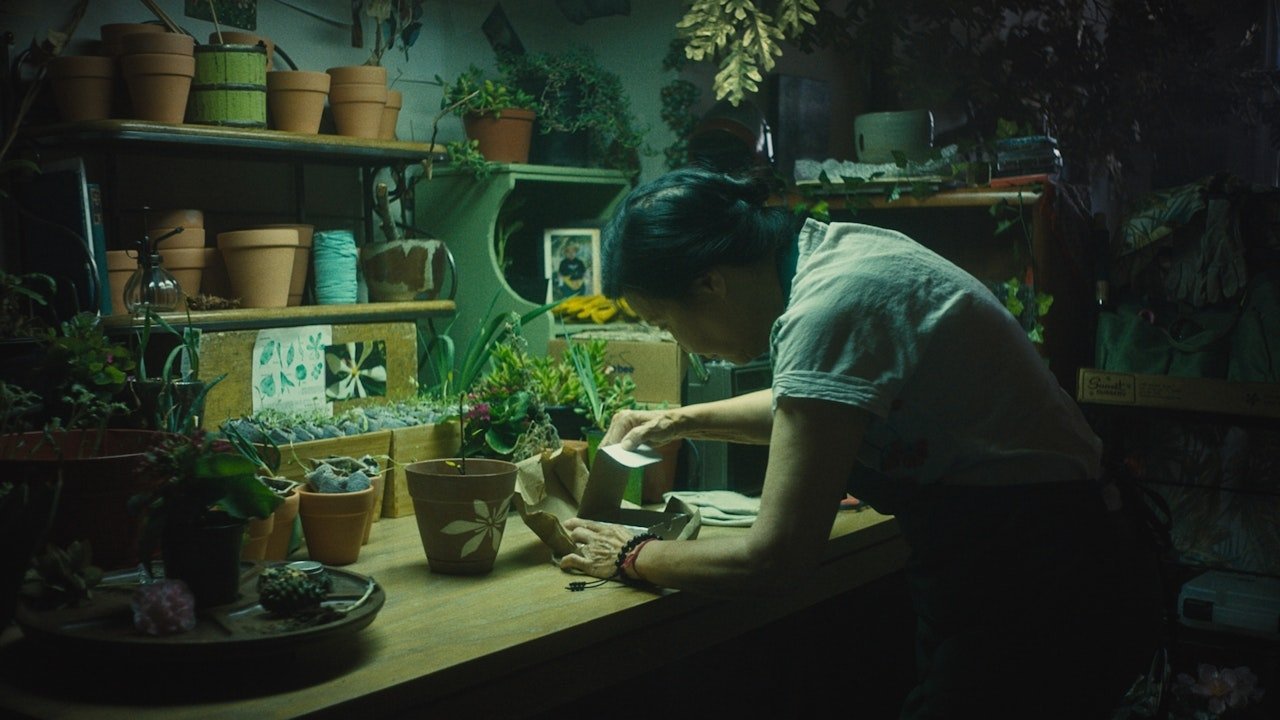 In Full Bloom backdrop