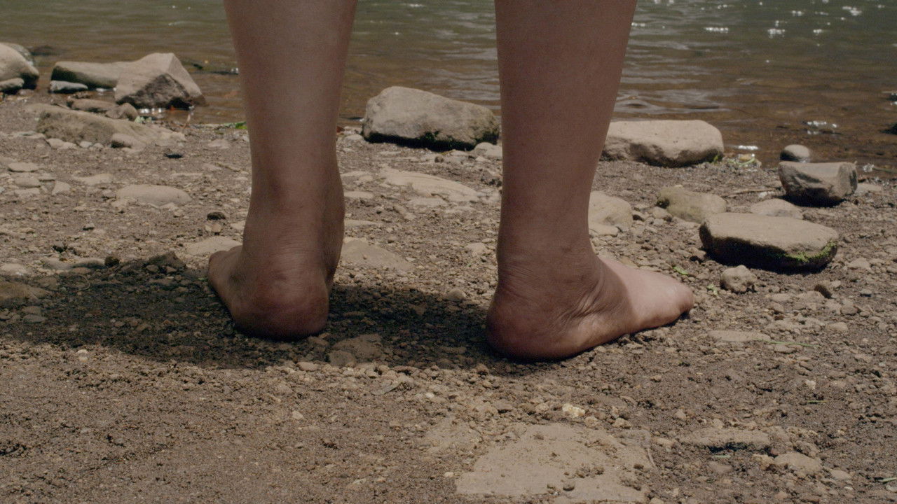 The Last Land backdrop