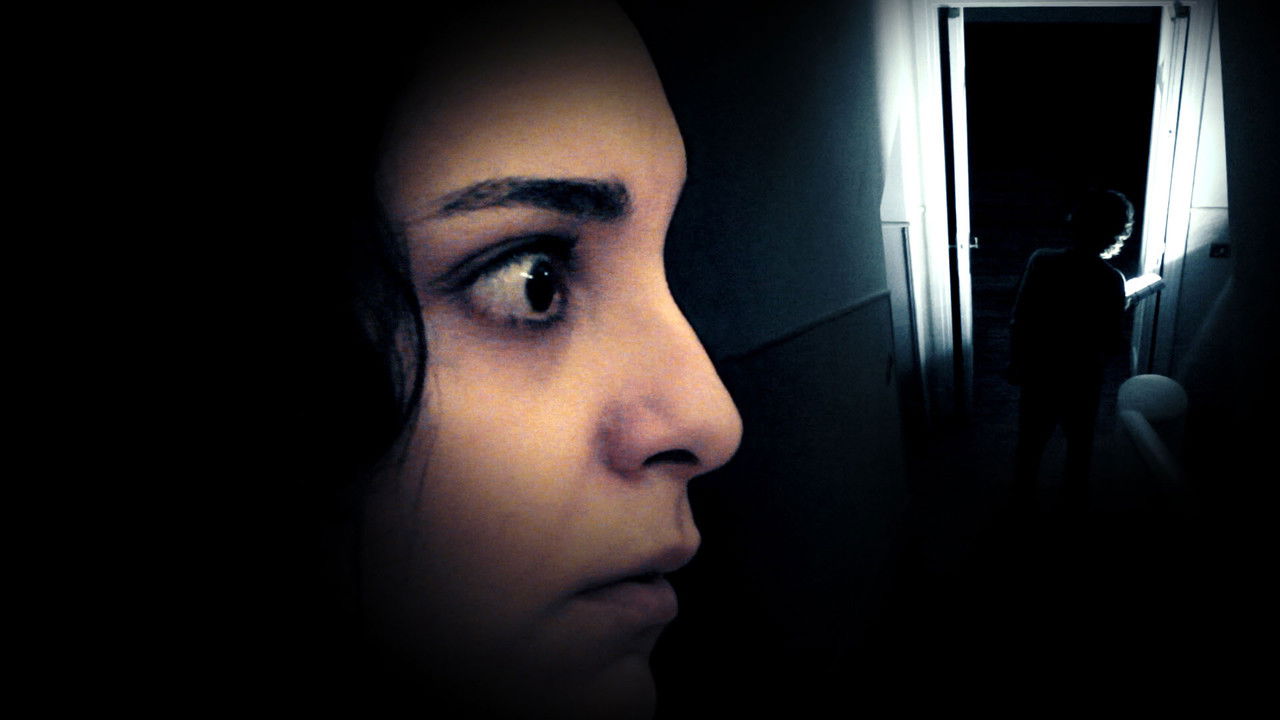 Pyramids Hostel backdrop