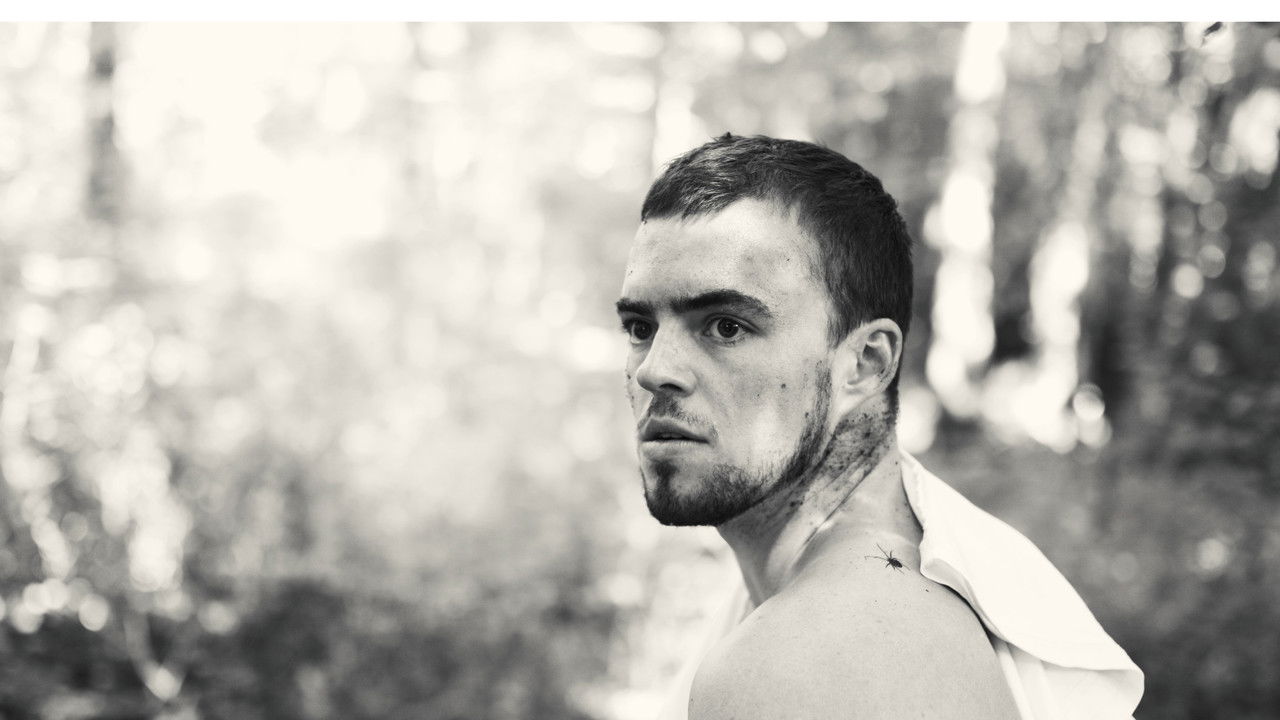 In Media Veritas backdrop