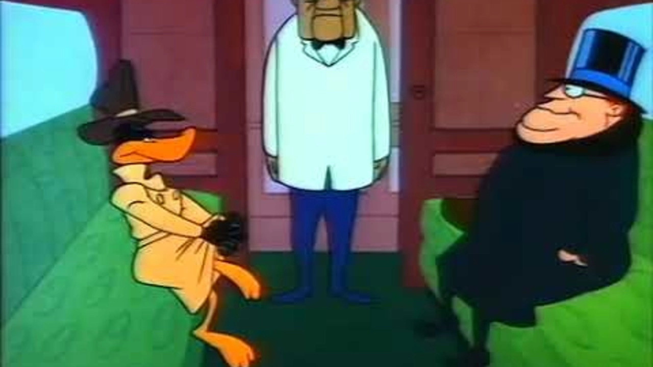 Boston Quackie backdrop