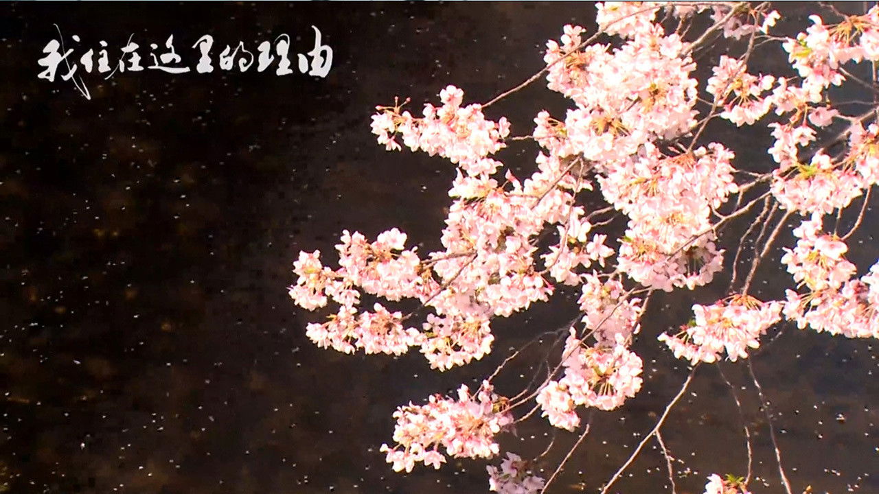 私はここに住む理由 backdrop