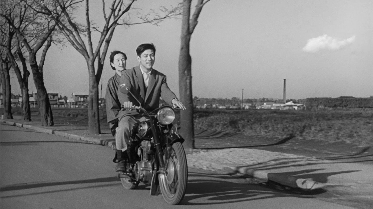 The Sentimental Idiot backdrop