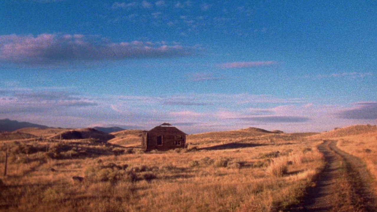 Future So Bright backdrop