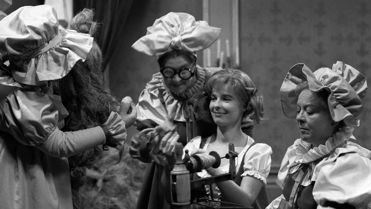 Tři přadleny backdrop