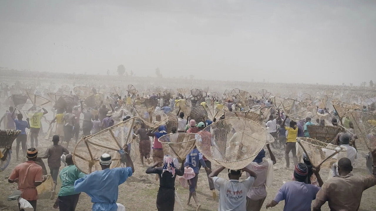 I bɔyɔrɔ, d’où viens-tu ?  backdrop