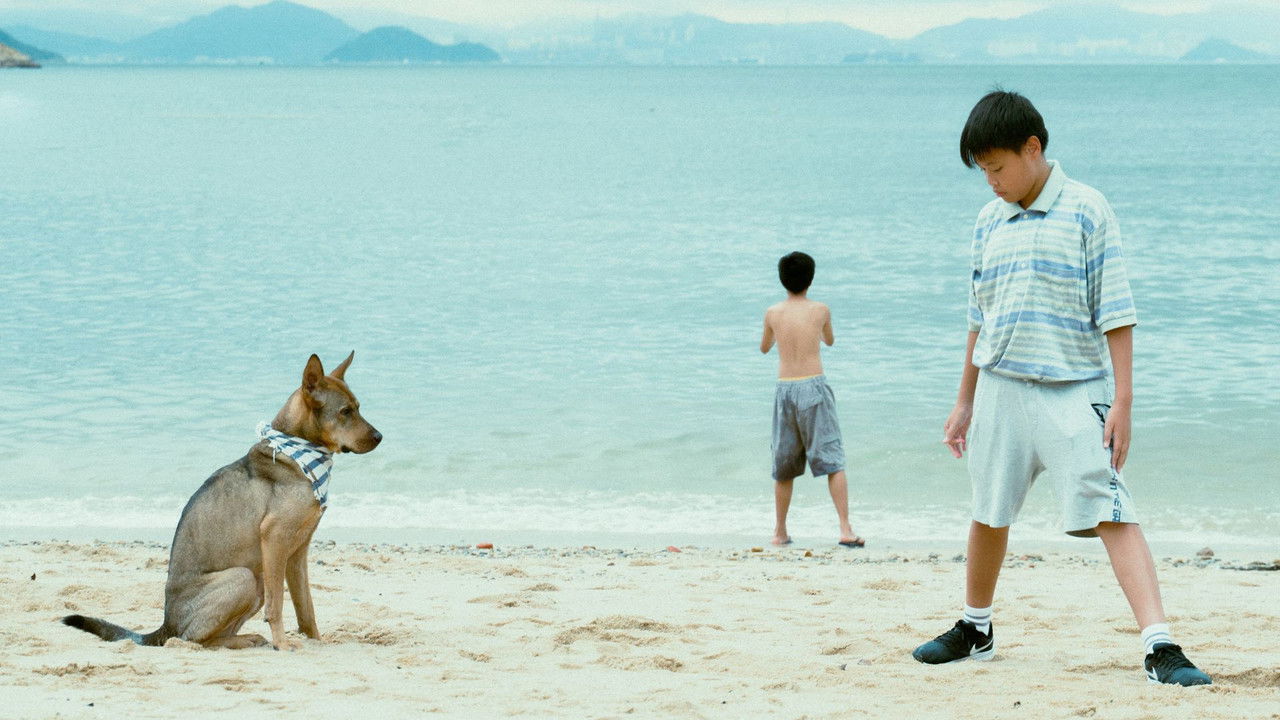 The Perks of Being Wild backdrop