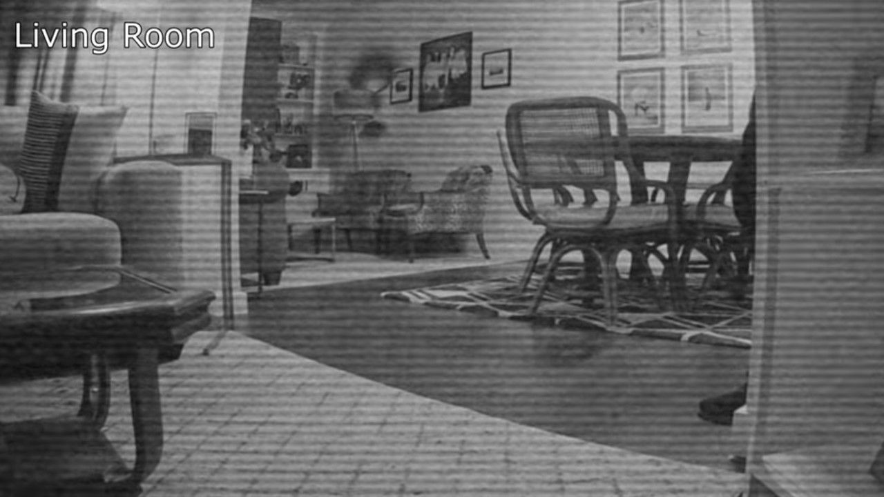 My House Is Haunted backdrop