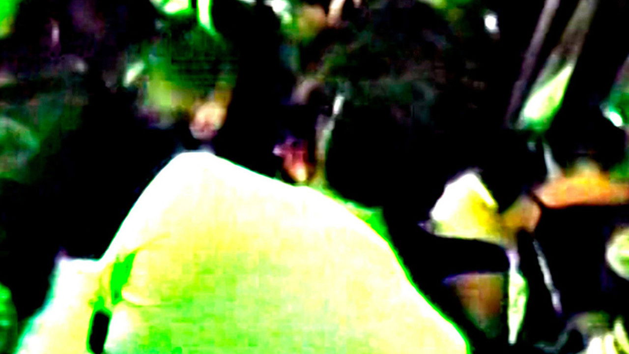 Meu Amigo Pedro Mixtape backdrop